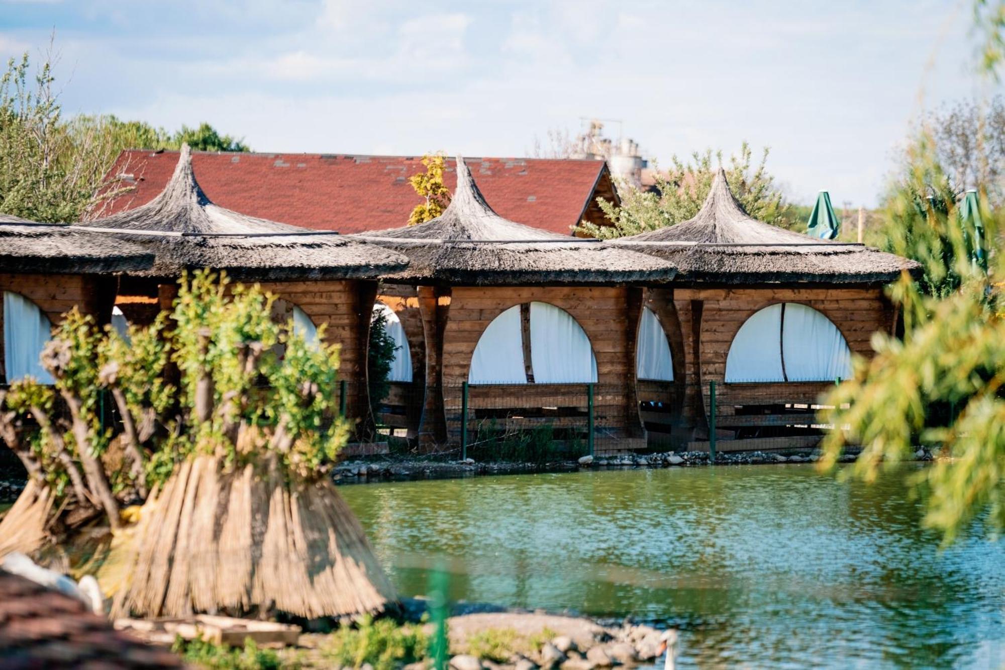 Hotel Montana Garden Răşinari Exteriér fotografie